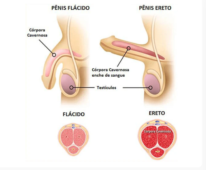 Gel Volumetrão - Mais Volume, Mais Ereção e mais Prazer